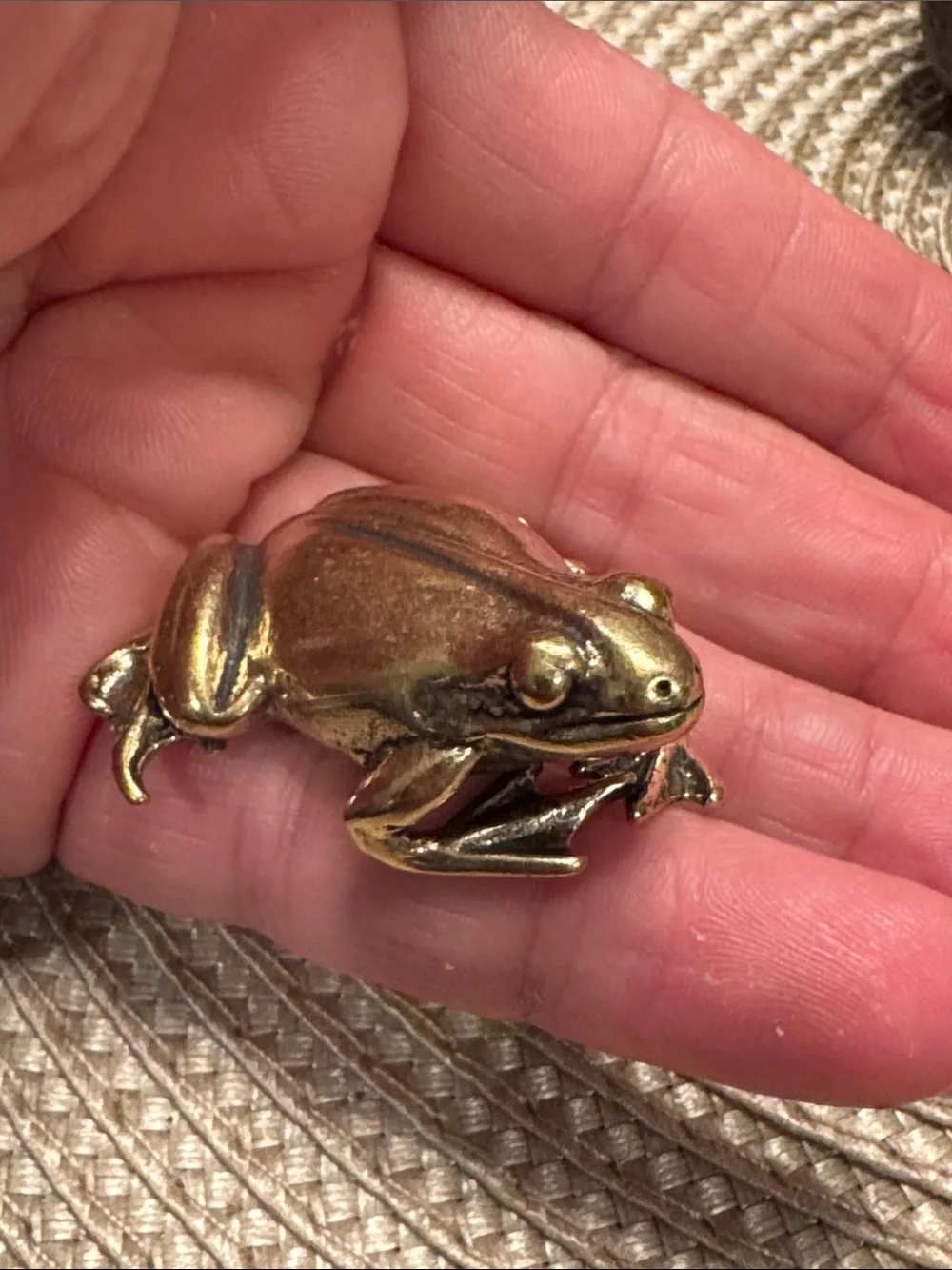 Brass Frog Décor Accent